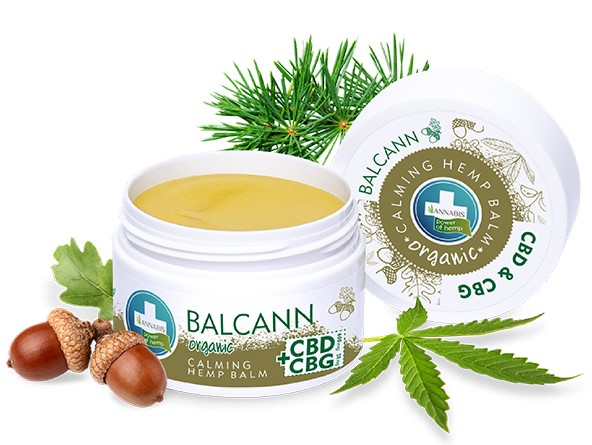 WHY CBD & CBG?  WHAT ARE THEY? WHY ARE THEY SO FAVORED NOWADAYS?